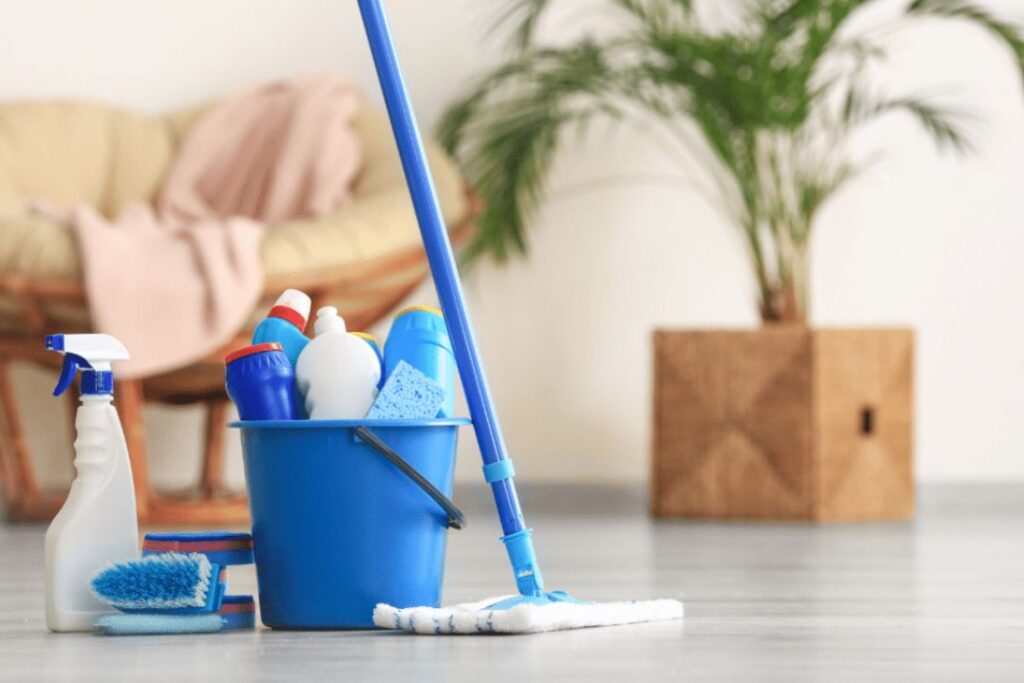 House cleaning myths