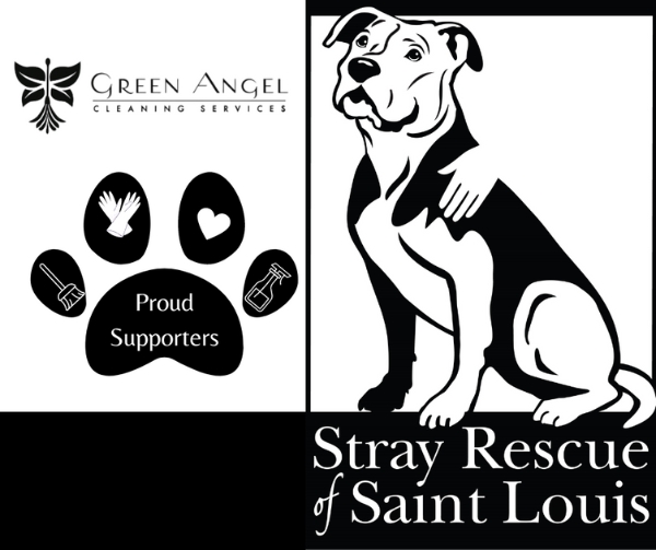 stray-rescue stray-rescue